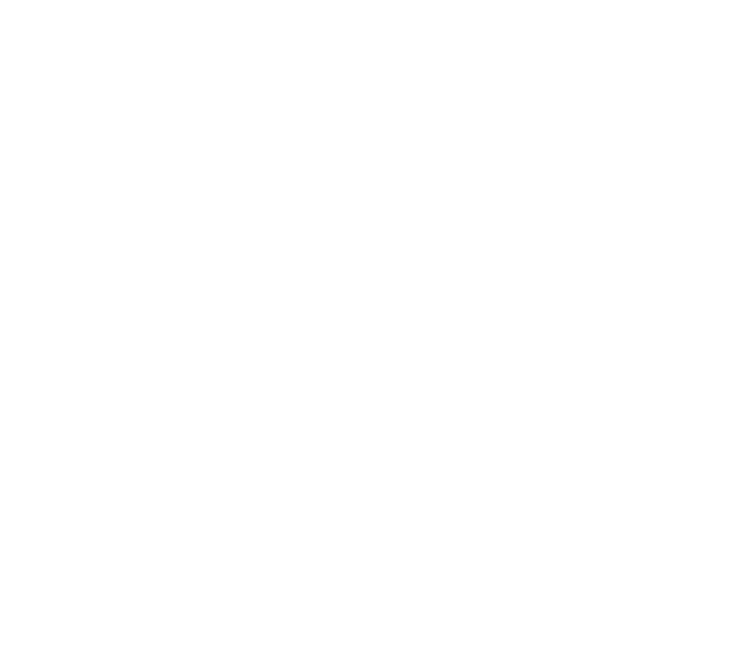 Geosecure